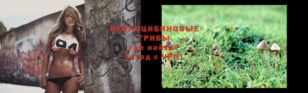 ALPHA PVP Белокуриха