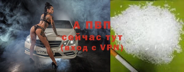 mdpv Кадников