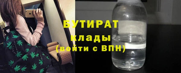 индика Богородицк