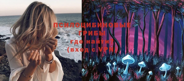 индика Богородицк