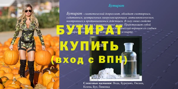 индика Богородицк