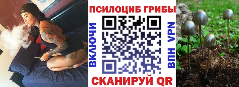 Псилоцибиновые грибы прущие грибы  купить наркотики цена  Дальнегорск 