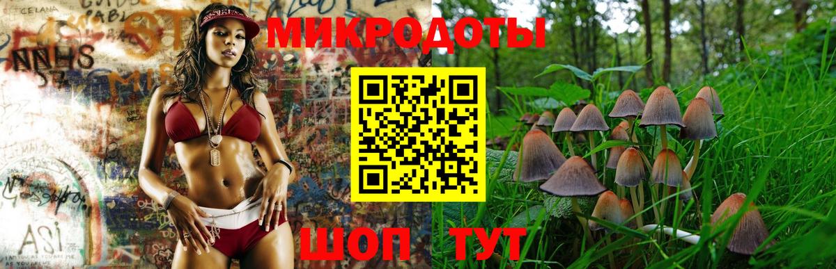 Галлюциногенные грибы мухоморы Дальнегорск