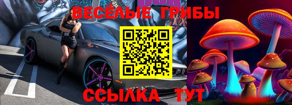 Галлюциногенные грибы мицелий  цены наркотик  Дальнегорск  Вход с VPN 